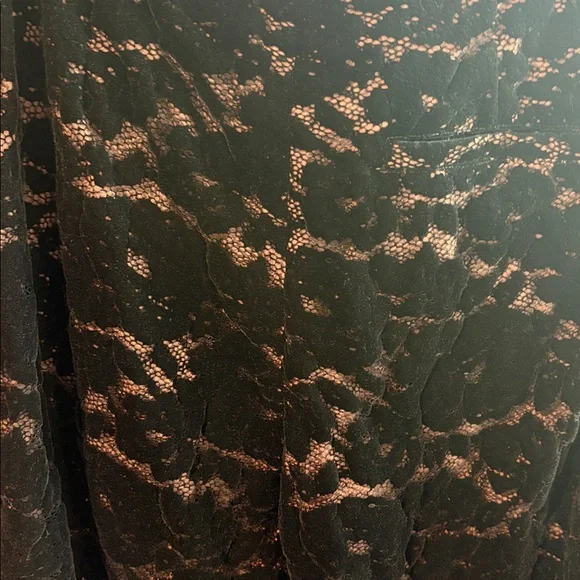 Rachel Comey black velvet lace fully lined high waist pants cocoa linerS